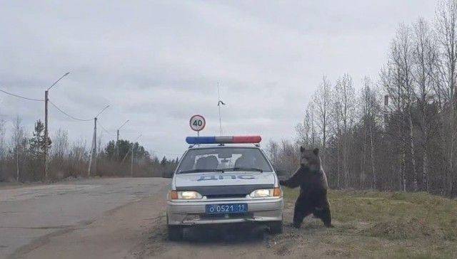 daily picdump 94 pics 25.html - 94 HD Photos | Premium Gallery 2018