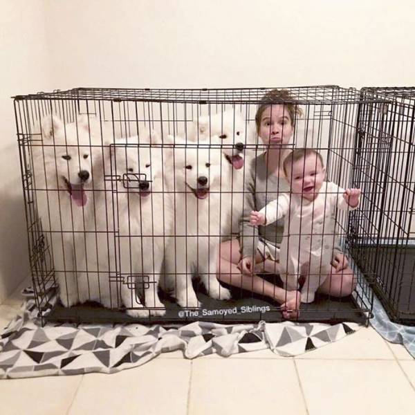 daily picdump 94 pics 25.html - 94 HD Photos | Premium Gallery 2018