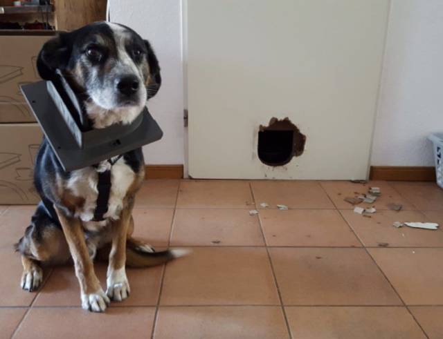 daily picdump 94 pics 25.html - 94 HD Photos | Premium Gallery 2018