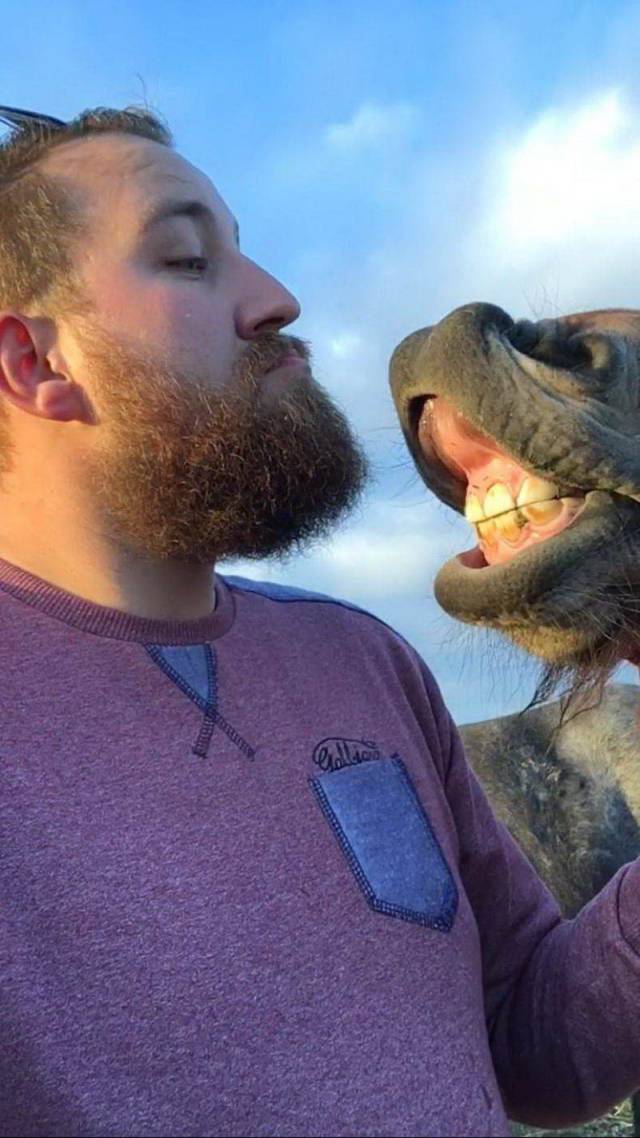 daily picdump 94 pics 25.html - 94 HD Photos | Premium Gallery 2018