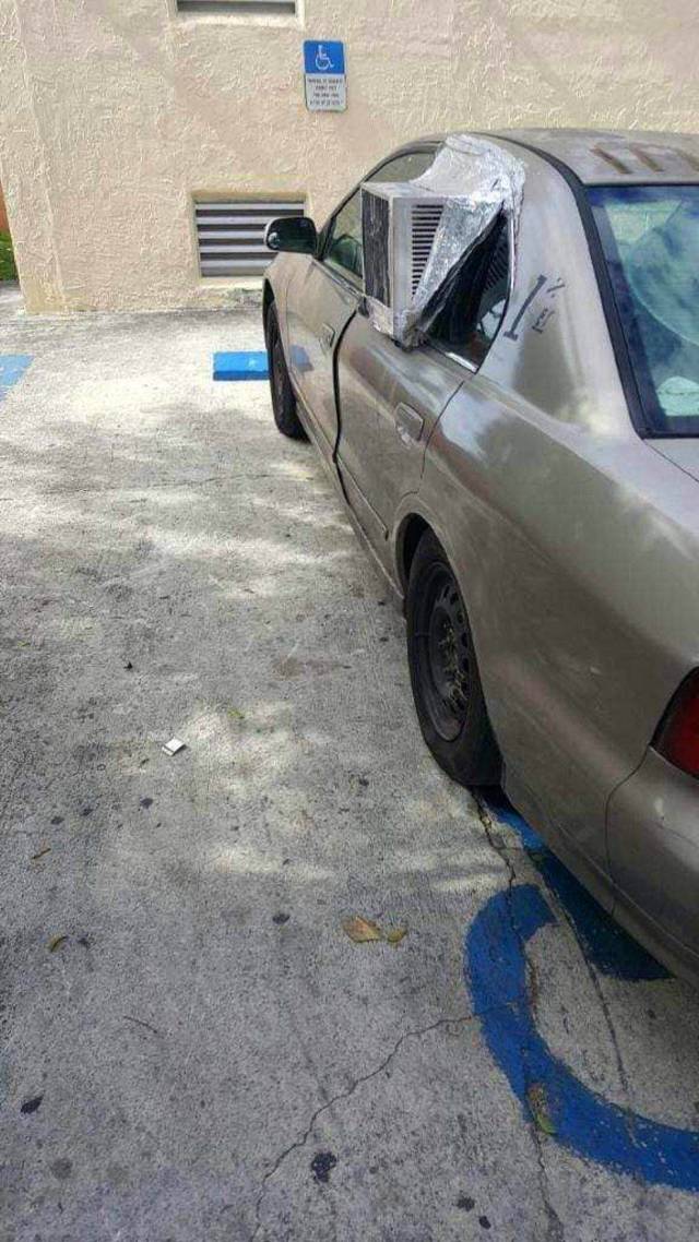 daily picdump 94 pics 25.html - 94 HD Photos | Premium Gallery 2018