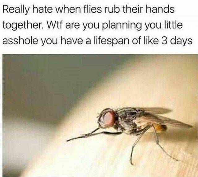 funny picdump 59 pics 15.html - 59 HD Photos | Premium Gallery 2018