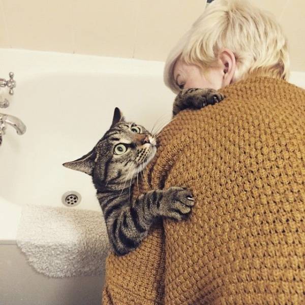 funny picdump 59 pics 15.html - 59 HD Photos | Premium Gallery 2018