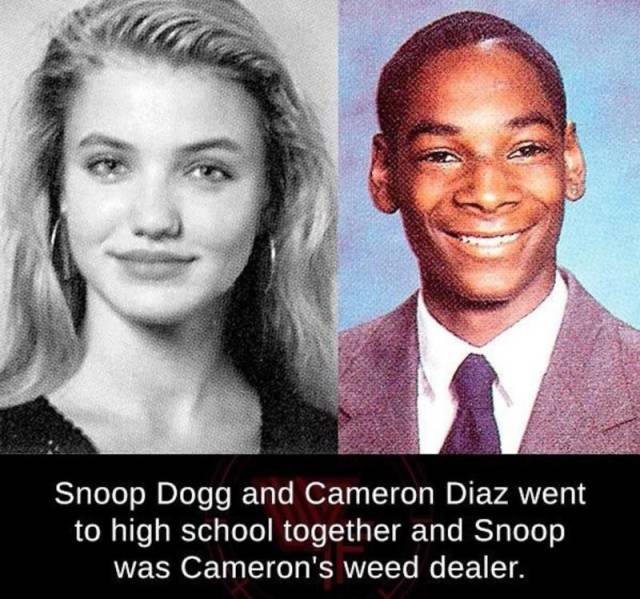 funny picdump 59 pics 15.html - 59 HD Photos | Premium Gallery 2018