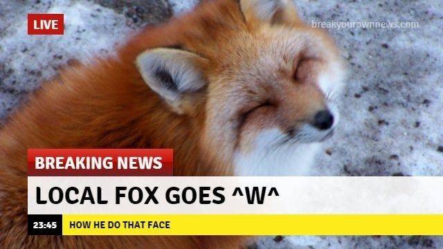 funny picdump 59 pics 15.html - 59 HD Photos | Premium Gallery 2018