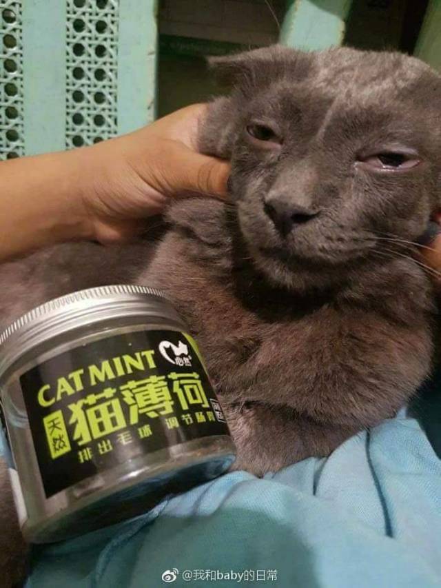 funny picdump 59 pics 15.html - 59 HD Photos | Premium Gallery 2018