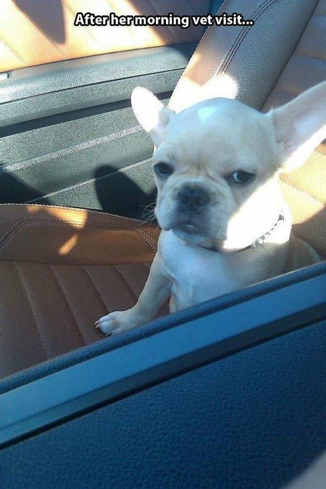 funny picdump 59 pics 15.html - 59 HD Photos | Premium Gallery 2018