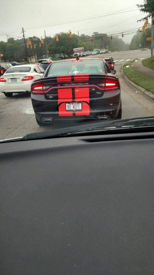 funny picdump 59 pics 15.html - 59 HD Photos | Premium Gallery 2018