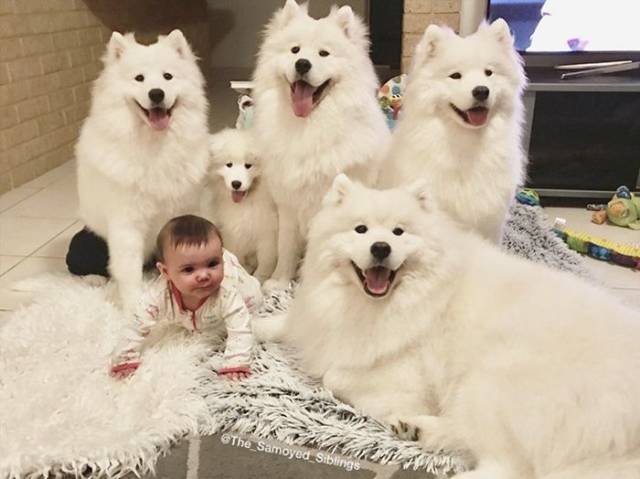 morning picdump 59 pics 16.html - 59 HD Photos | Premium Gallery 2018
