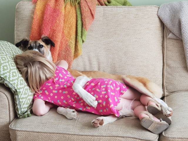 daily picdump 95 pics 36.html - 95 HD Photos | Premium Gallery 2018