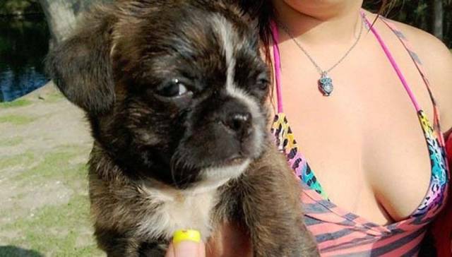 daily picdump 95 pics 36.html - 95 HD Photos | Premium Gallery 2018