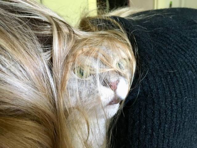 daily picdump 95 pics 36.html - 95 HD Photos | Premium Gallery 2018