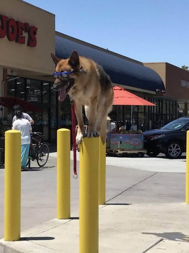 daily picdump 95 pics 36.html - 95 HD Photos | Premium Gallery 2018