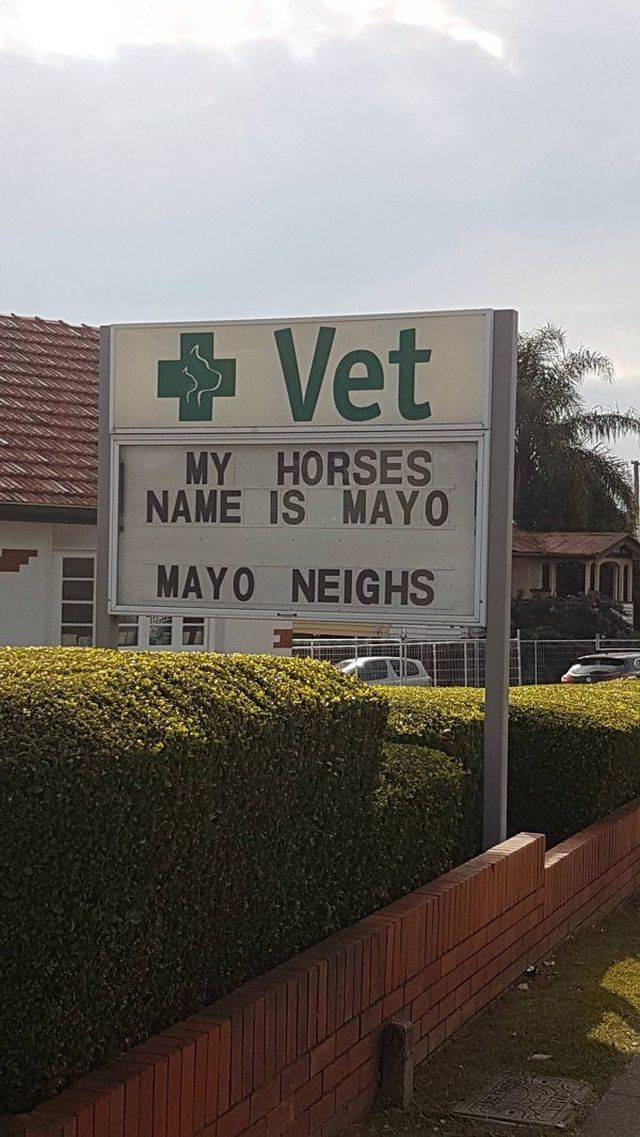 daily picdump 95 pics 36.html - 95 HD Photos | Premium Gallery 2018