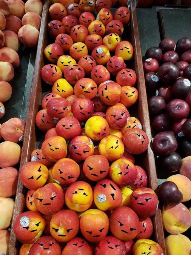 daily picdump 95 pics 36.html - 95 HD Photos | Premium Gallery 2018