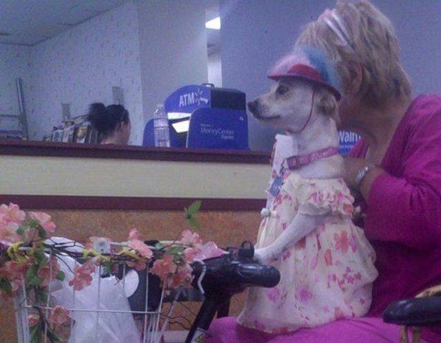 morning picdump 56 pics 1.html - 56 HD Photos | Premium Gallery 2018