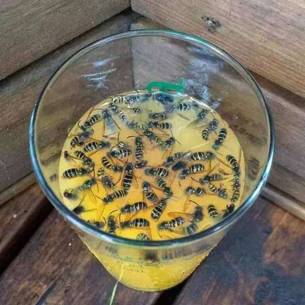 morning picdump 56 pics 1.html - 56 HD Photos | Premium Gallery 2018