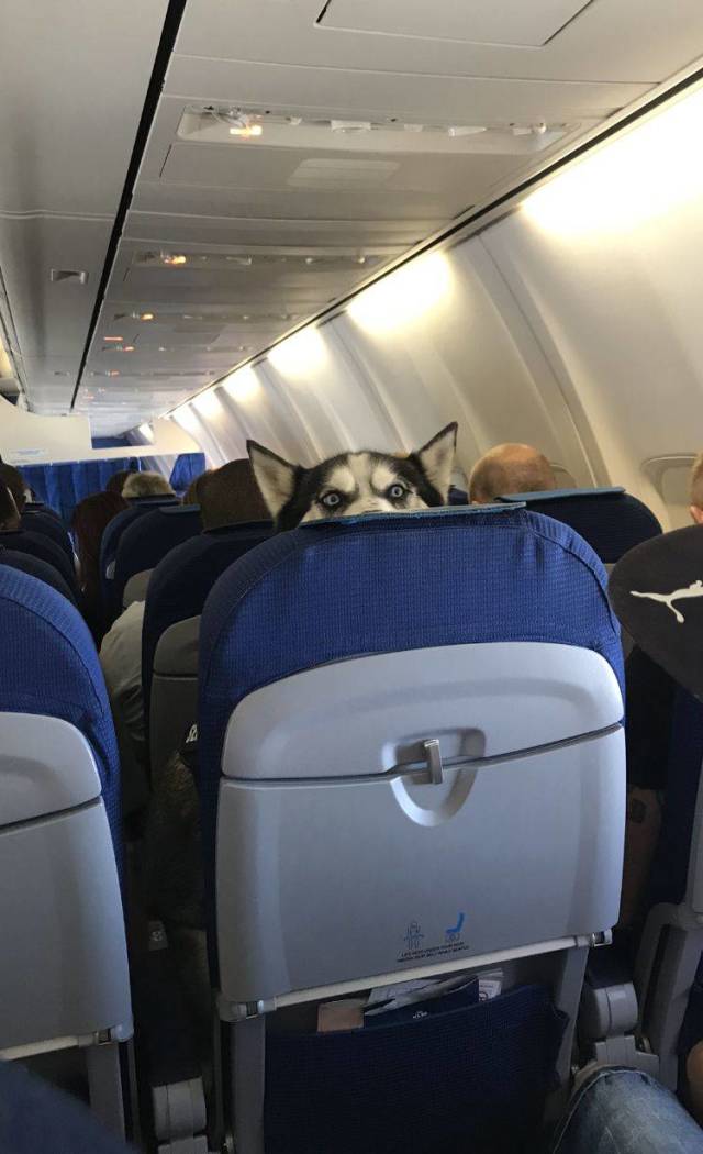 morning picdump 56 pics 1.html - 56 HD Photos | Premium Gallery 2018