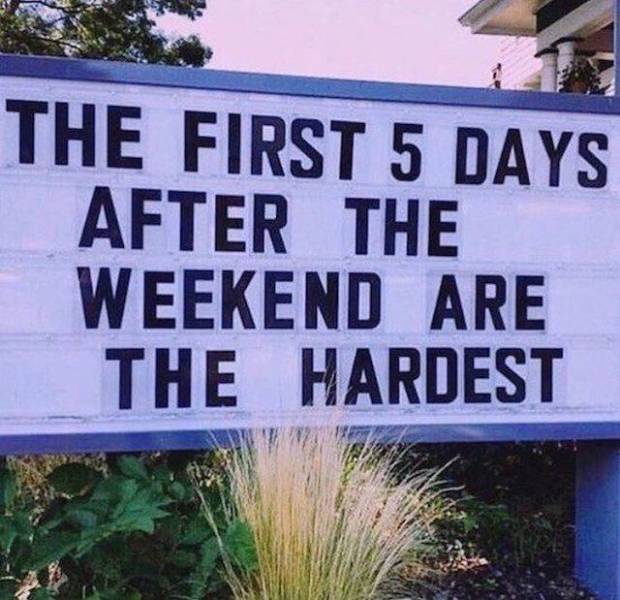 Daily Picdump [WEEKEND EDITION]