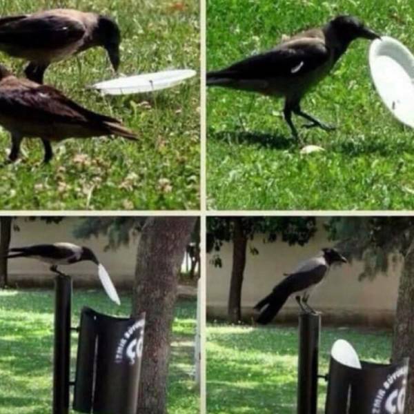 Daily Picdump [WEEKEND EDITION]