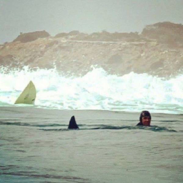 Daily Picdump [WEEKEND EDITION]