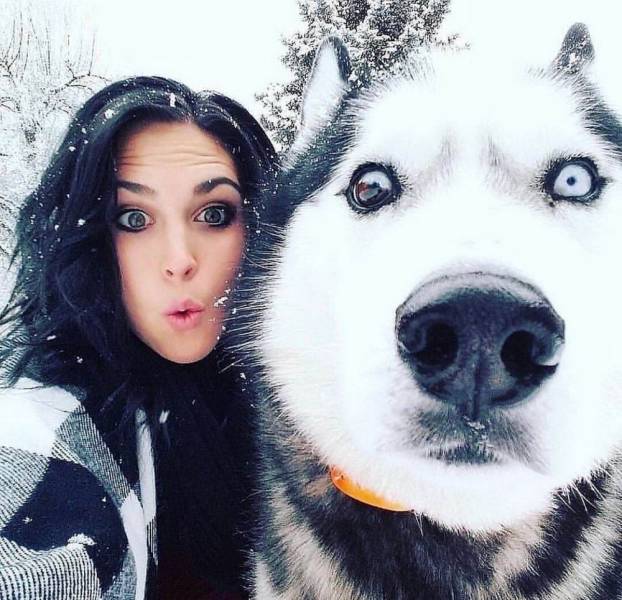 daily picdump 100 pics 17.html - 100 HD Photos | Premium Gallery 2018