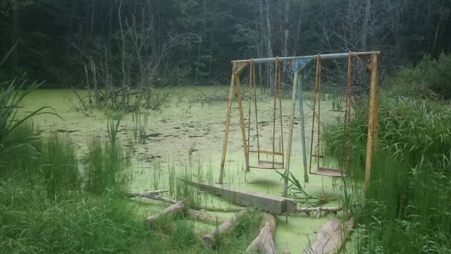 daily picdump 100 pics 17.html - 100 HD Photos | Premium Gallery 2018