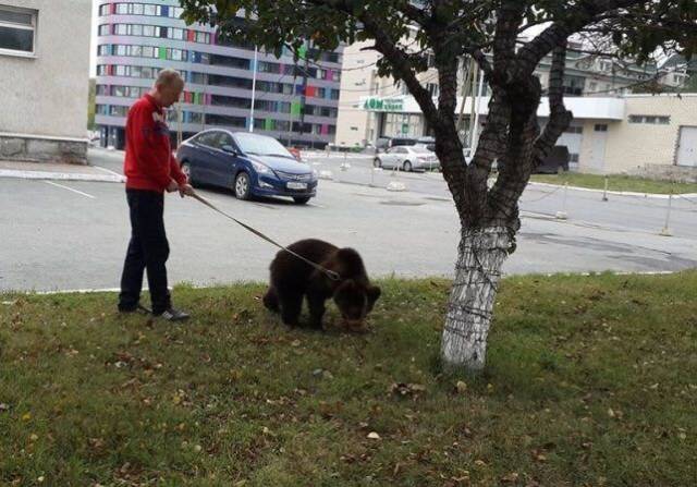 daily picdump 100 pics 17.html - 100 HD Photos | Premium Gallery 2018