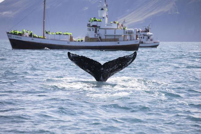 daily picdump 100 pics 17.html - 100 HD Photos | Premium Gallery 2018