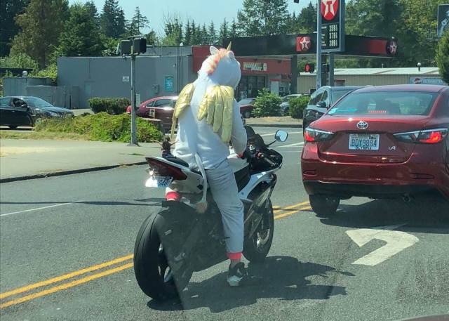 daily picdump 100 pics 17.html - 100 HD Photos | Premium Gallery 2018