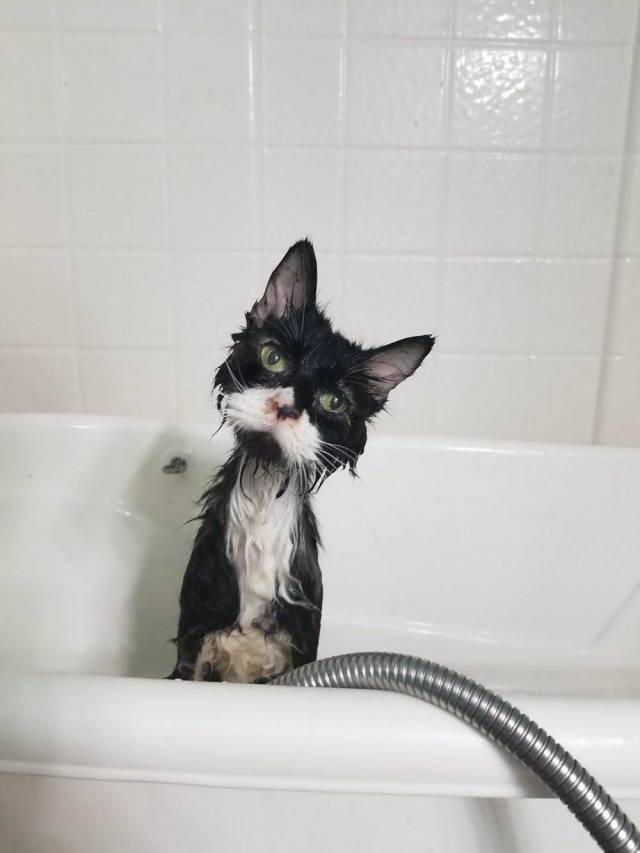 daily picdump 100 pics 17.html - 100 HD Photos | Premium Gallery 2018