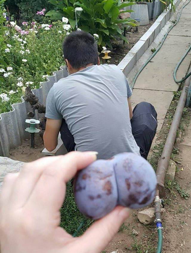 daily picdump 100 pics 17.html - 100 HD Photos | Premium Gallery 2018