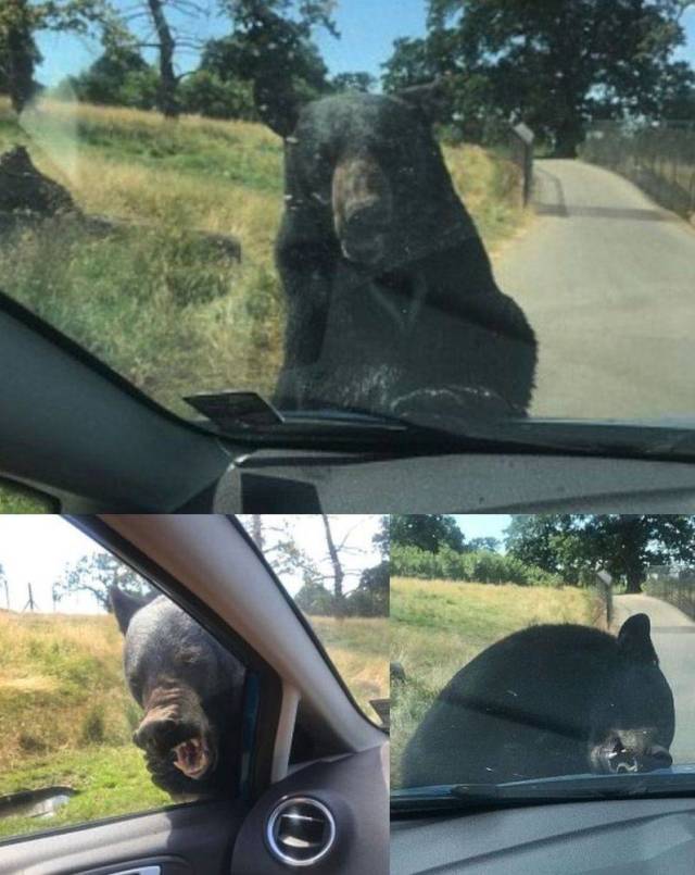 daily picdump 100 pics 17.html - 100 HD Photos | Premium Gallery 2018