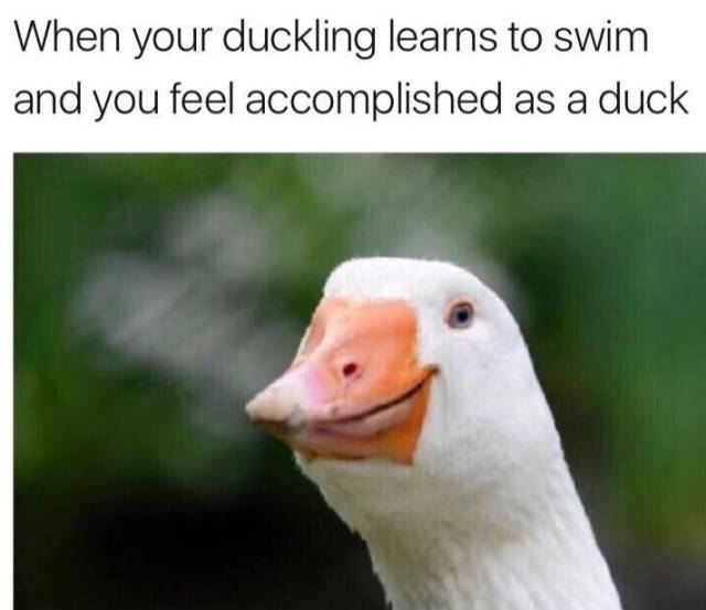 funny picdump 56 pics 15.html - 56 HD Photos | Premium Gallery 2018