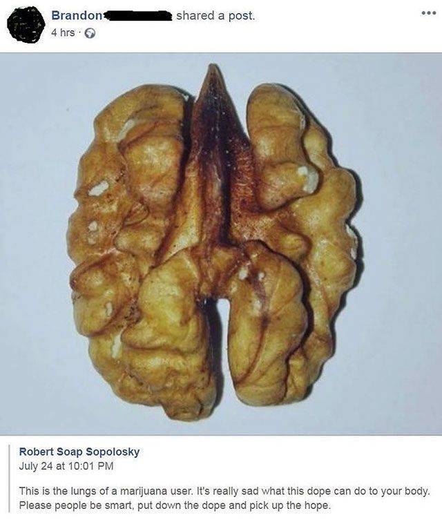 funny picdump 56 pics 15.html - 56 HD Photos | Premium Gallery 2018