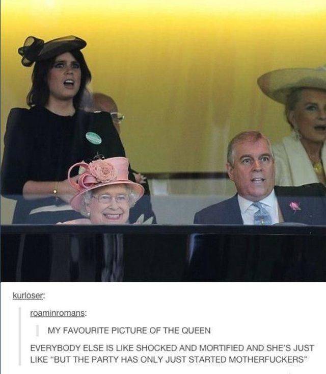 funny picdump 56 pics 15.html - 56 HD Photos | Premium Gallery 2018