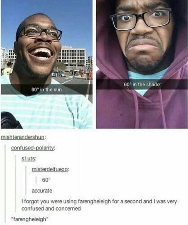 funny picdump 56 pics 15.html - 56 HD Photos | Premium Gallery 2018