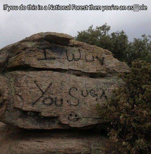 A##holes. You Can’t Escape Them