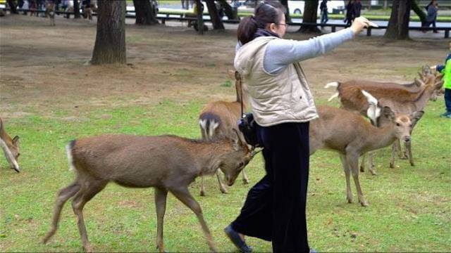 daily picdump 91 pics 31.html - 91 HD Photos | Premium Gallery 2018