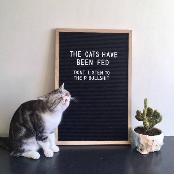 daily picdump 91 pics 31.html - 91 HD Photos | Premium Gallery 2018