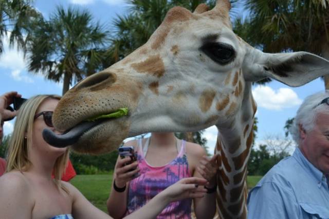 daily picdump 91 pics 31.html - 91 HD Photos | Premium Gallery 2018