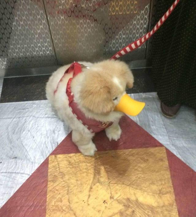 daily picdump 91 pics 31.html - 91 HD Photos | Premium Gallery 2018