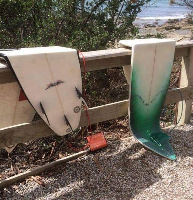 daily picdump 91 pics 31.html - 91 HD Photos | Premium Gallery 2018