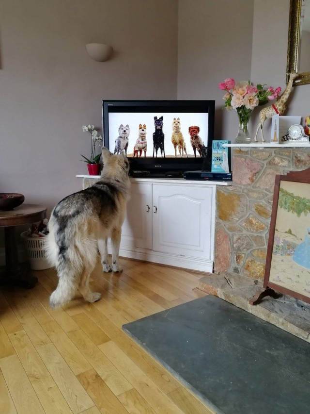 daily picdump 91 pics 31.html - 91 HD Photos | Premium Gallery 2018