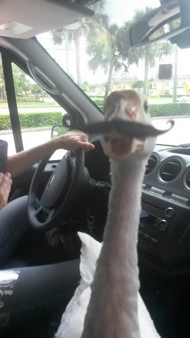 daily picdump 91 pics 31.html - 91 HD Photos | Premium Gallery 2018