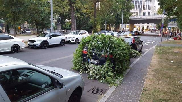 morning picdump 58 pics 9.html - 58 HD Photos | Premium Gallery 2018