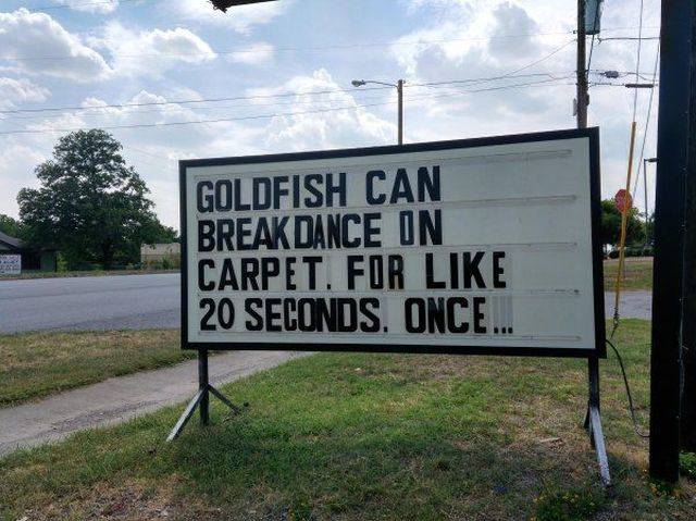 morning picdump 58 pics 9.html - 58 HD Photos | Premium Gallery 2018