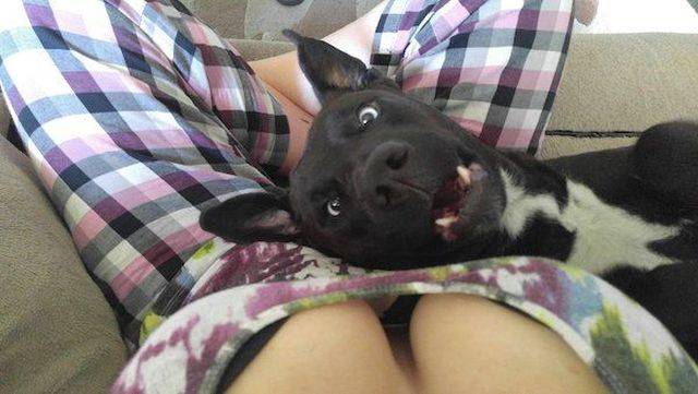 morning picdump 58 pics 9.html - 58 HD Photos | Premium Gallery 2018