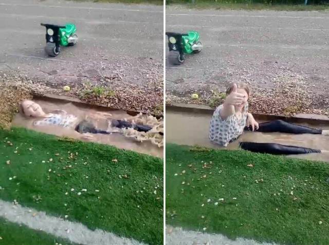 Daily Picdump