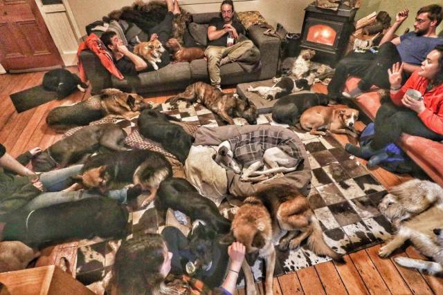 Daily Picdump